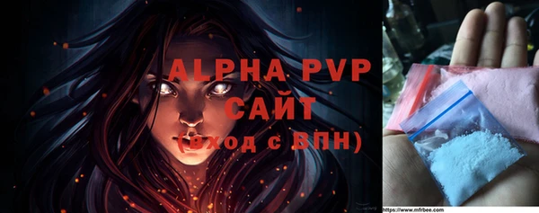 шишки Верхний Тагил