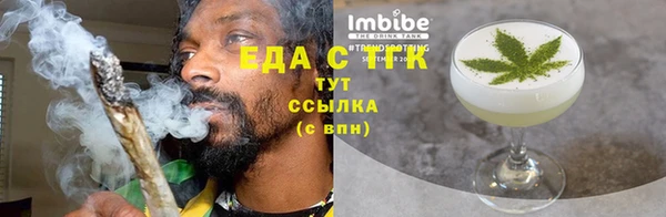 гашик Вяземский