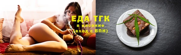 тгк Снежногорск