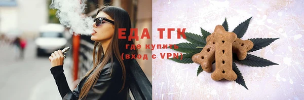 гашик Вяземский
