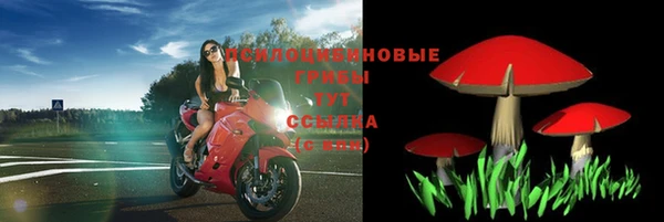 тгк Снежногорск