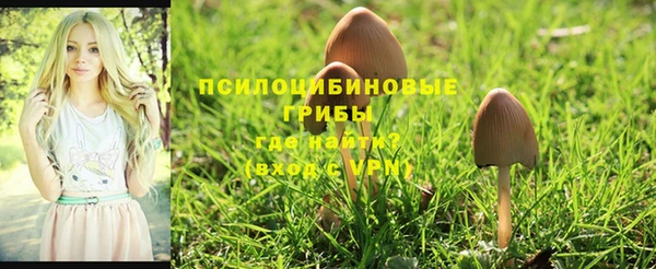 ECSTASY Володарск