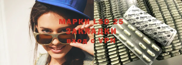 гашик Вяземский