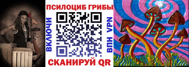это формула  дарнет шоп  Ветлуга  Псилоцибиновые грибы Psilocybe 
